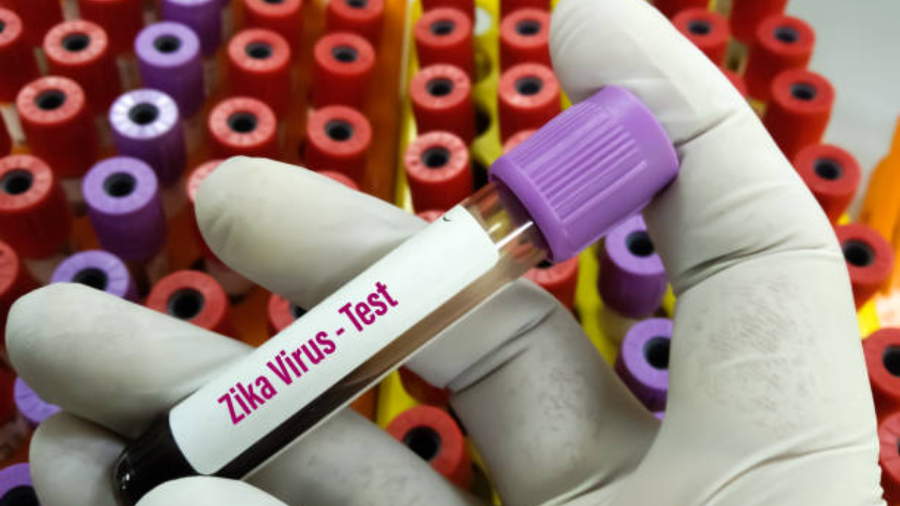 zika virus: doctor and daughter test positive in pune, health officials on high alert