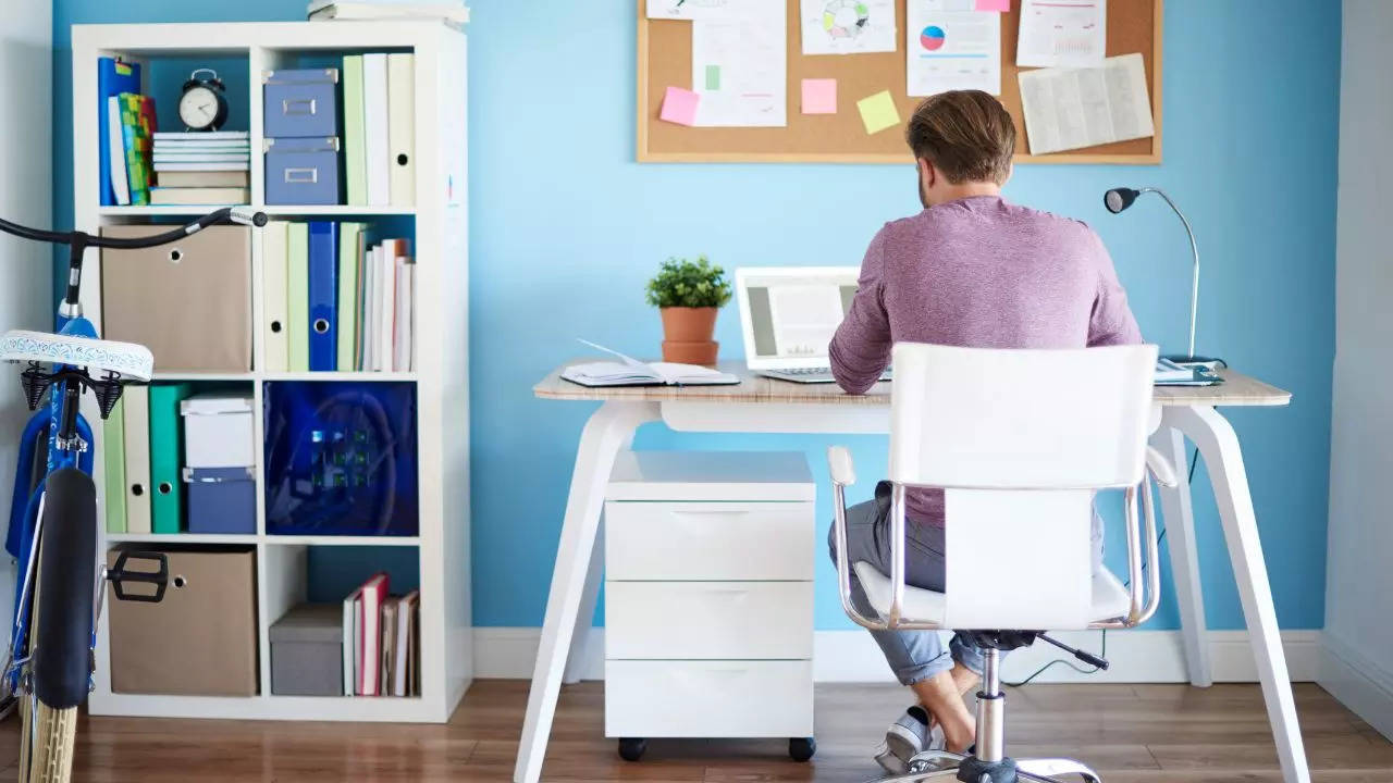 National Work From Home Day 2024: Are People More Productive When They Work From Home?