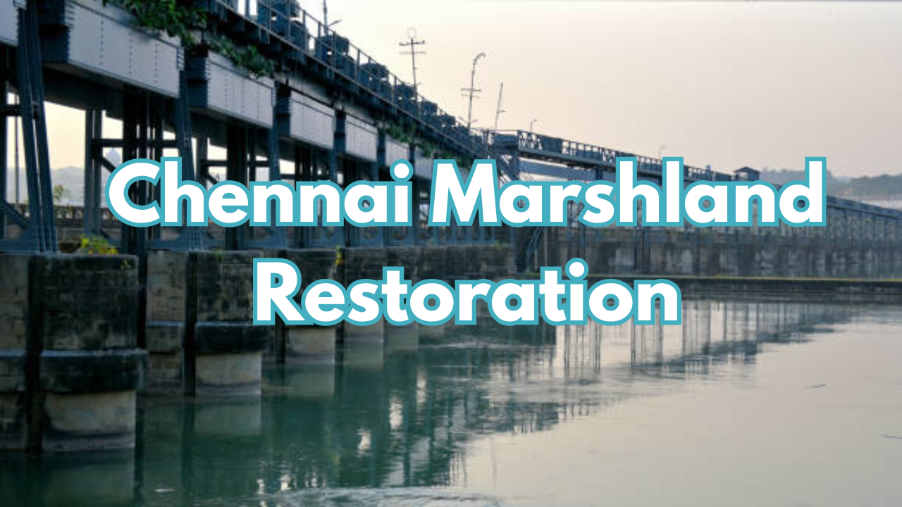 chennai: key bridge to it hub set for demolition to restore pallikaranai marshland; commuters brace for changes
