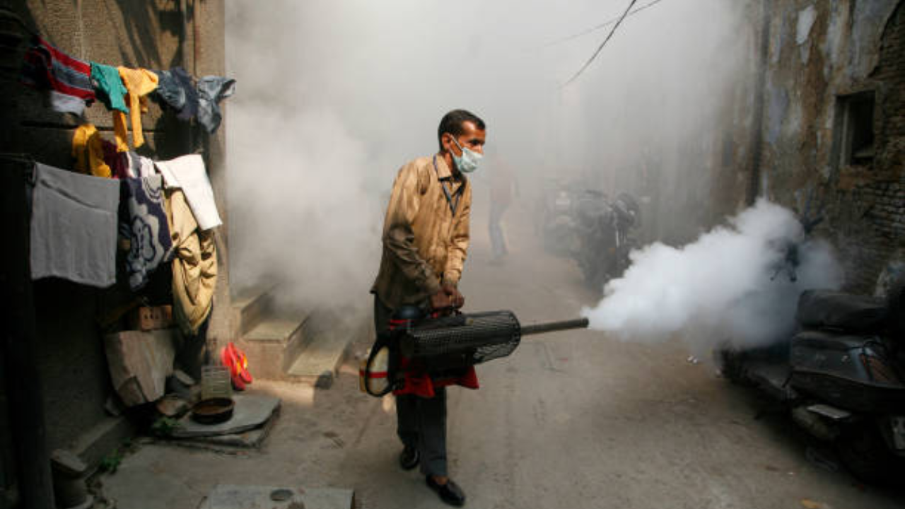bengaluru: dengue cases surpass 1,000-mark in 3 weeks, is the monsoon to blame?