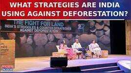 India Climate Summit 2024 Insights From Priyanka Negi And Kunal Satyarthi Exclusive Discussion