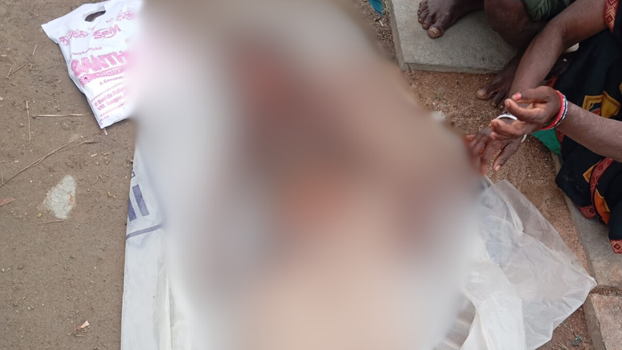 stray dogs kill 8-year-old boy in telangana's sangareddy