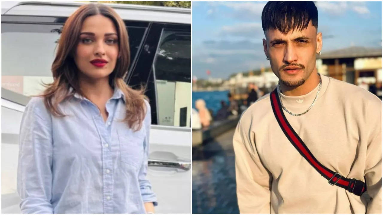 Himanshi Khurana Takes A Sly Dig At Reports Calling Her Breakup With Asim Riaz 'UGLY'