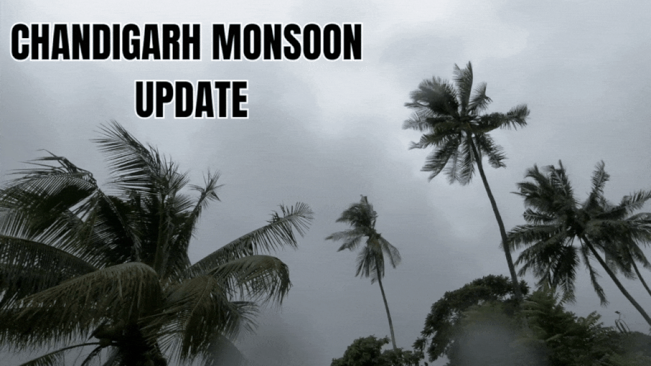 Chandigarh monsoon news (Representational)