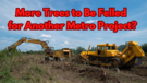 Bengaluru Compensatory Trees Grown by BBMP Face Axes for Namma Metros Orange Line Construction
