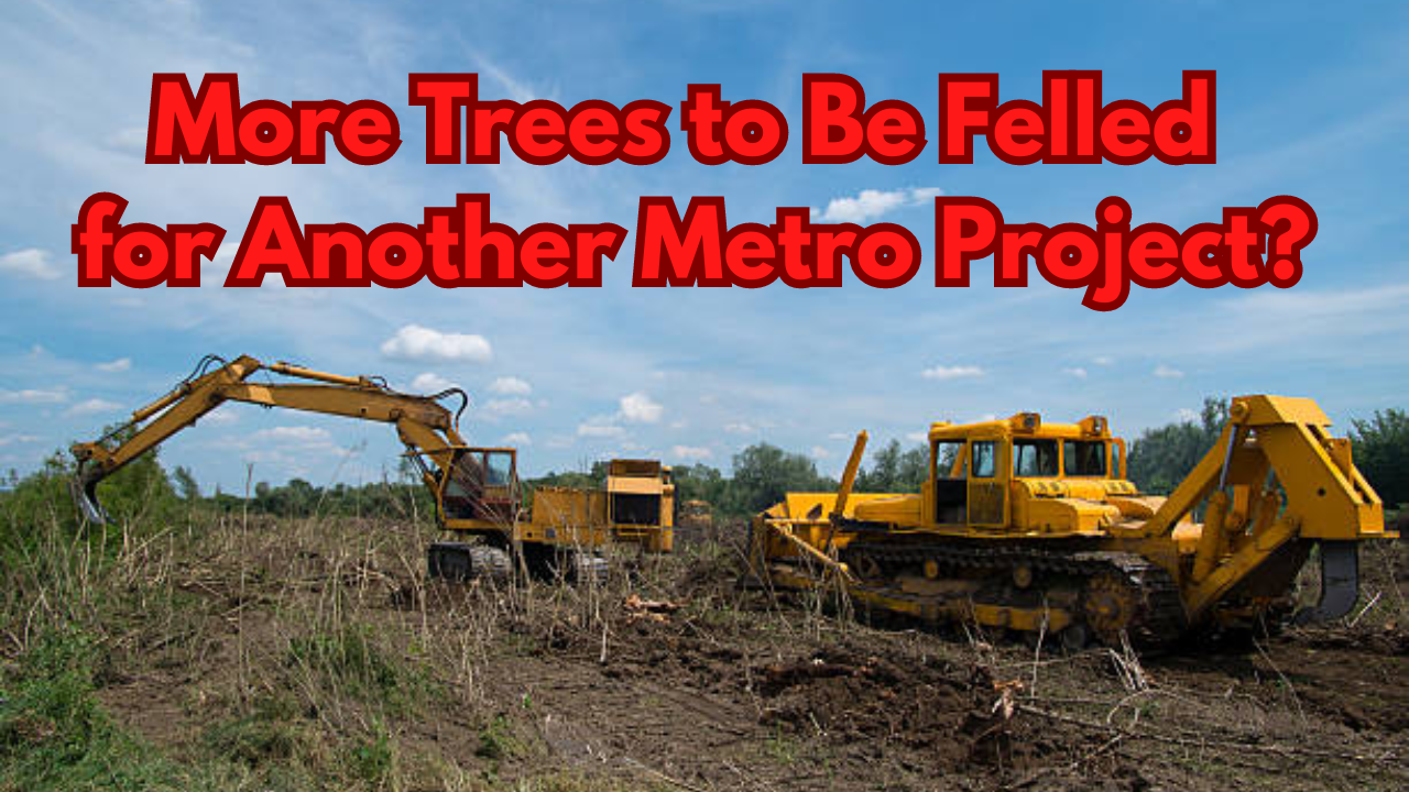 bengaluru: 'compensatory' trees grown by bbmp face axes for namma metro's orange line construction