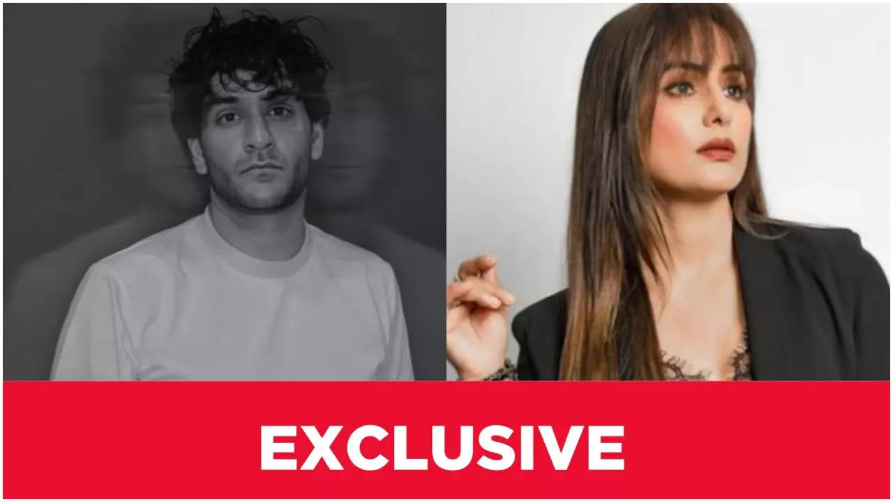 Bigg Boss 11's Vikas Gupta Reacts To Hina Khan's Cancer Diagnosis: 'It Takes Guts To...' - Exclusive