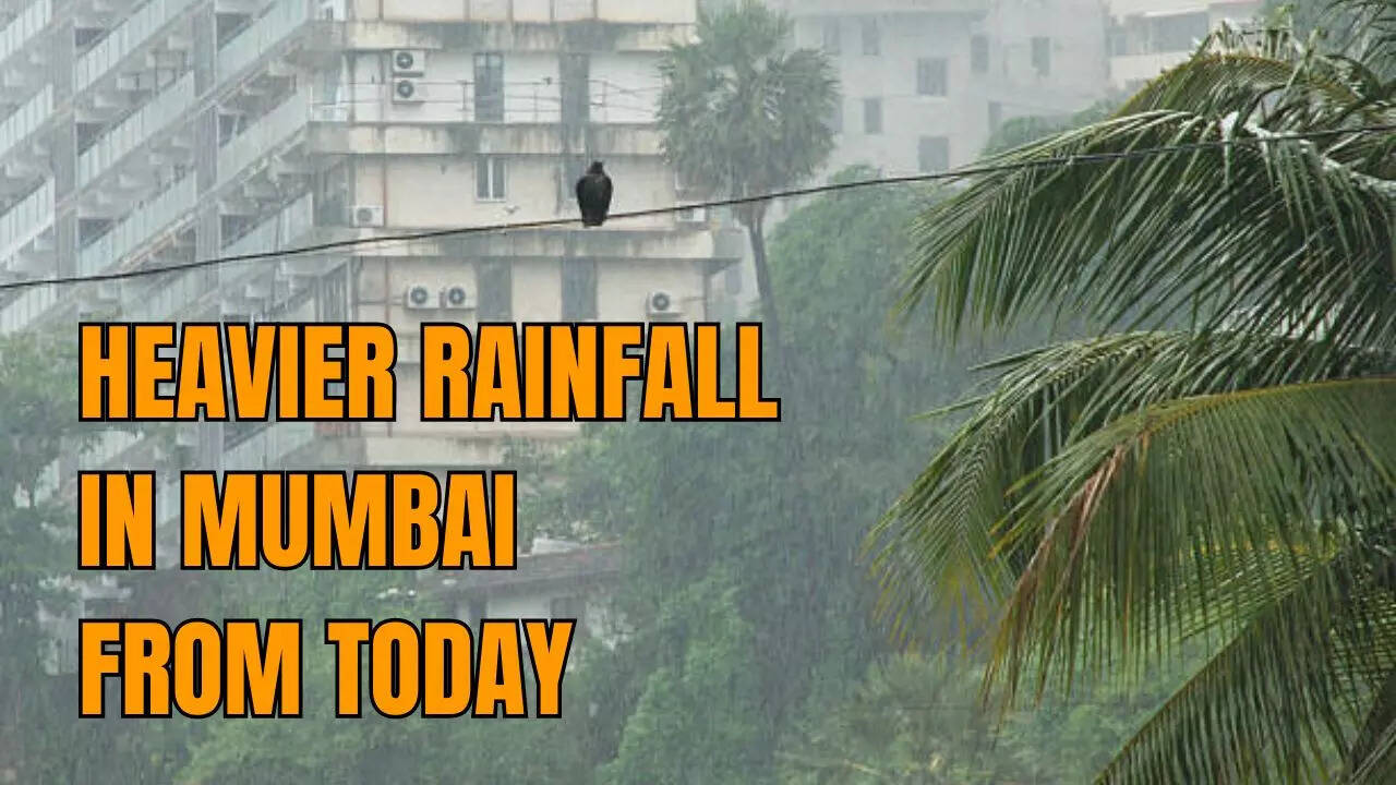 mumbai monsoon: heavy rainfall to intensify from today, imd issues statewide alert