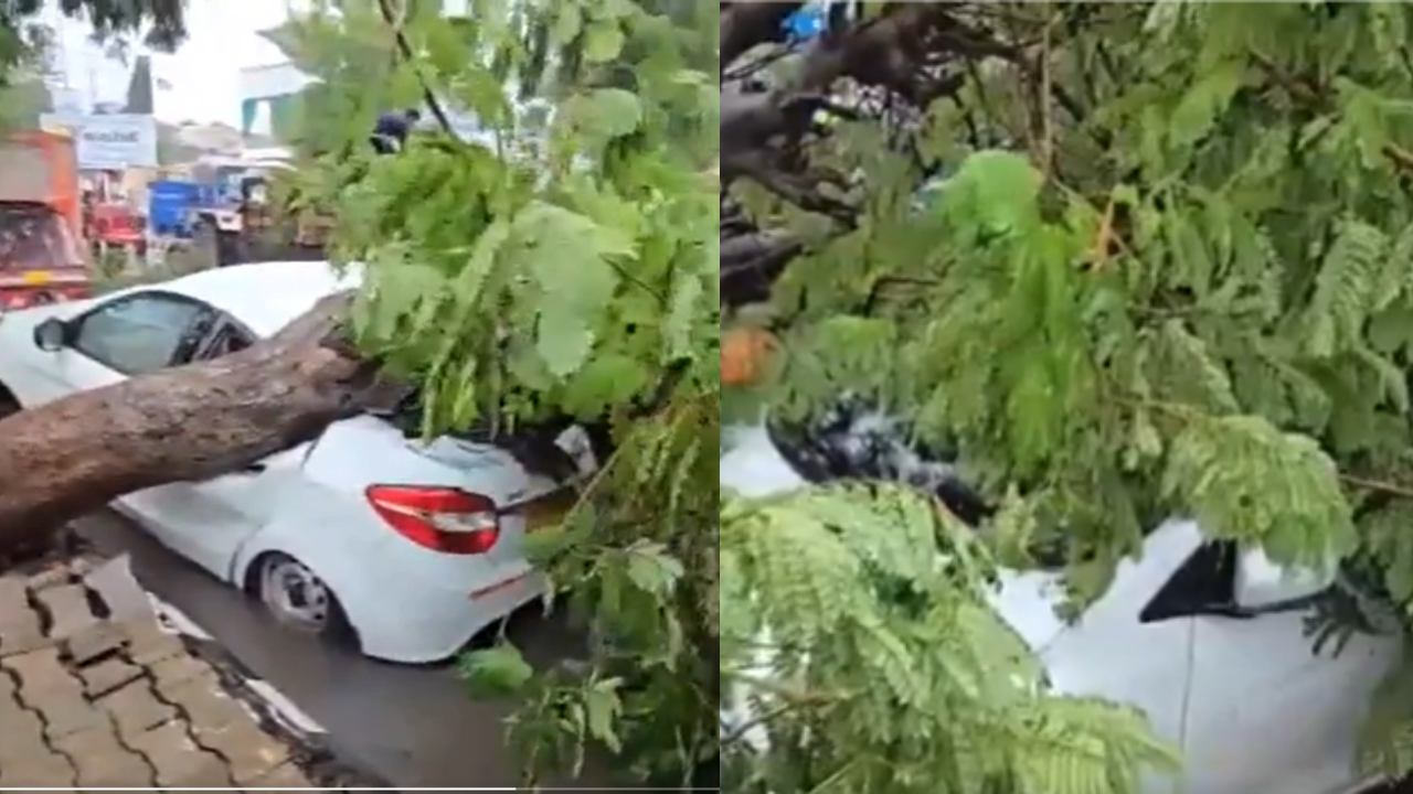 ahmedabad: large tree falls, crushes cars in kk nagar amid heavy rain; video