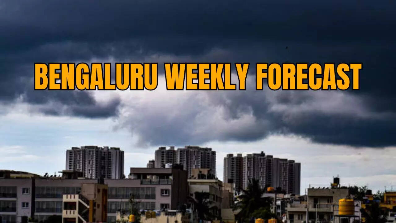 bangalore weather report: grey skies, chilly breeze & light pitter-patter; how will bengaluru's weather be this week?