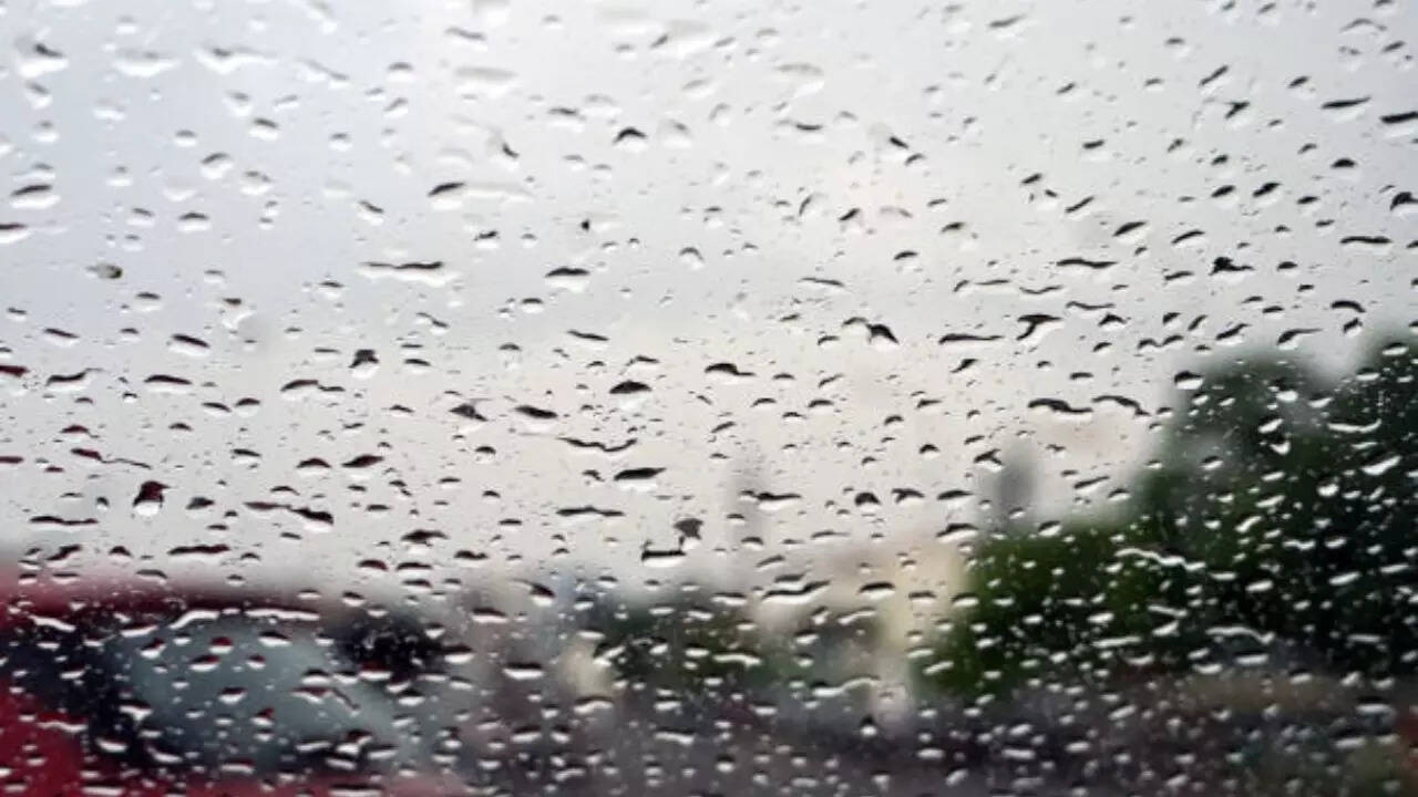 chennai weather today: city to witness light rain today; imd forecasts week-long downpour