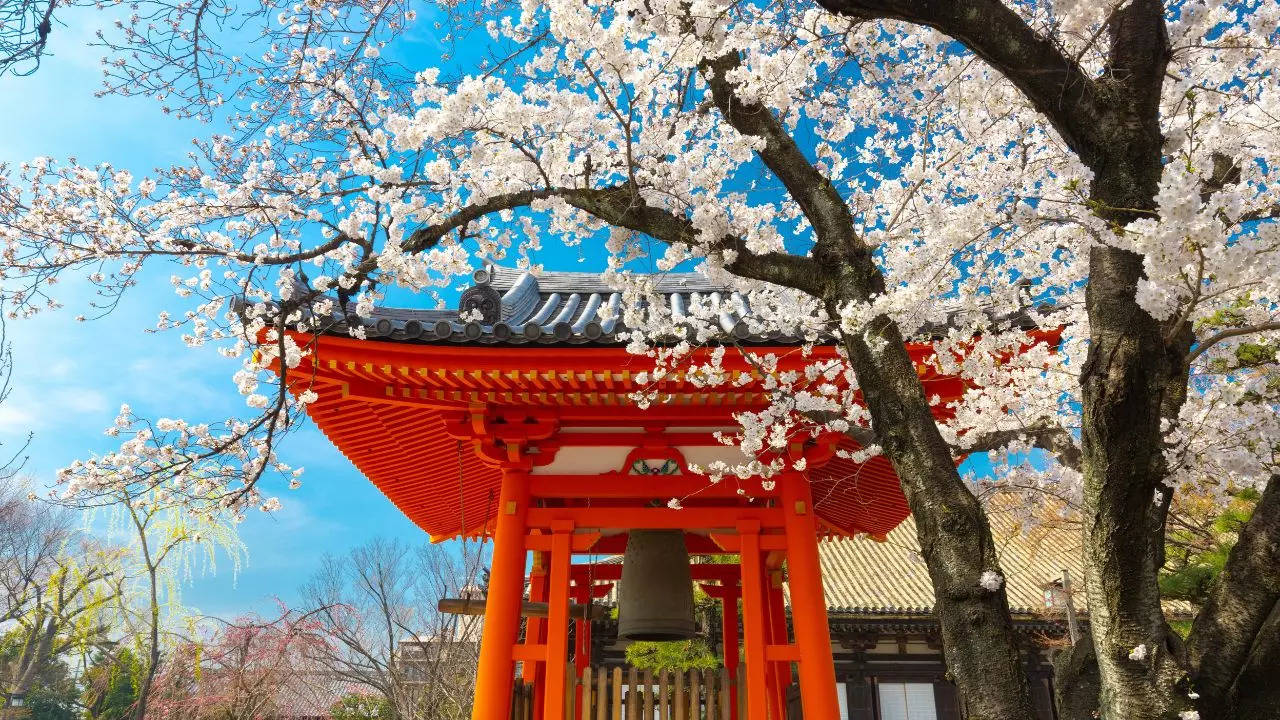 3 Reasons Why 2024 Is Becoming The Year Of Japan Credit Canva