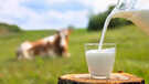 50 Percent Of Raw Milk Samples Have H5N1 Bird Flu Virus In Them Heres Why You Should Drink Pasteurized Milk