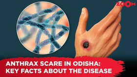 Anthrax outbreak in Odisha Key facts about the disease