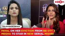Payal Malik REACTS to her eviction from BB OTT 3 Megha Chakraborty joins the new show Mishri