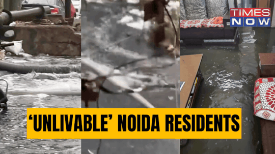 Just 1 Day of Rain Laid Bare Noidas Infrastructure as Homes Flooded with Sewage and Rainwater-EXCLUSIVE