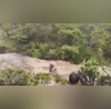 Pune Administration Issues Monsoon Guidelines For Tourists After Lonavala waterfall Mishap