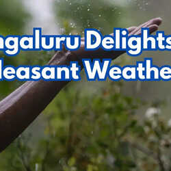 Calm Weather with Light Rain All Day Bengaluru Continues to Delight in Pleasant Conditions Check 7-Day Forecast