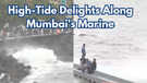 Watch Mumbais Marine Drive Delights Residents Will it Get Even Better with More Rain