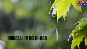 Rain Lashes Delhi-NCR More Showers Expected In Next 2 Hours IMD