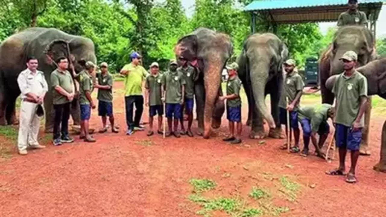 Elephant Restaurant (Photo: TOI)