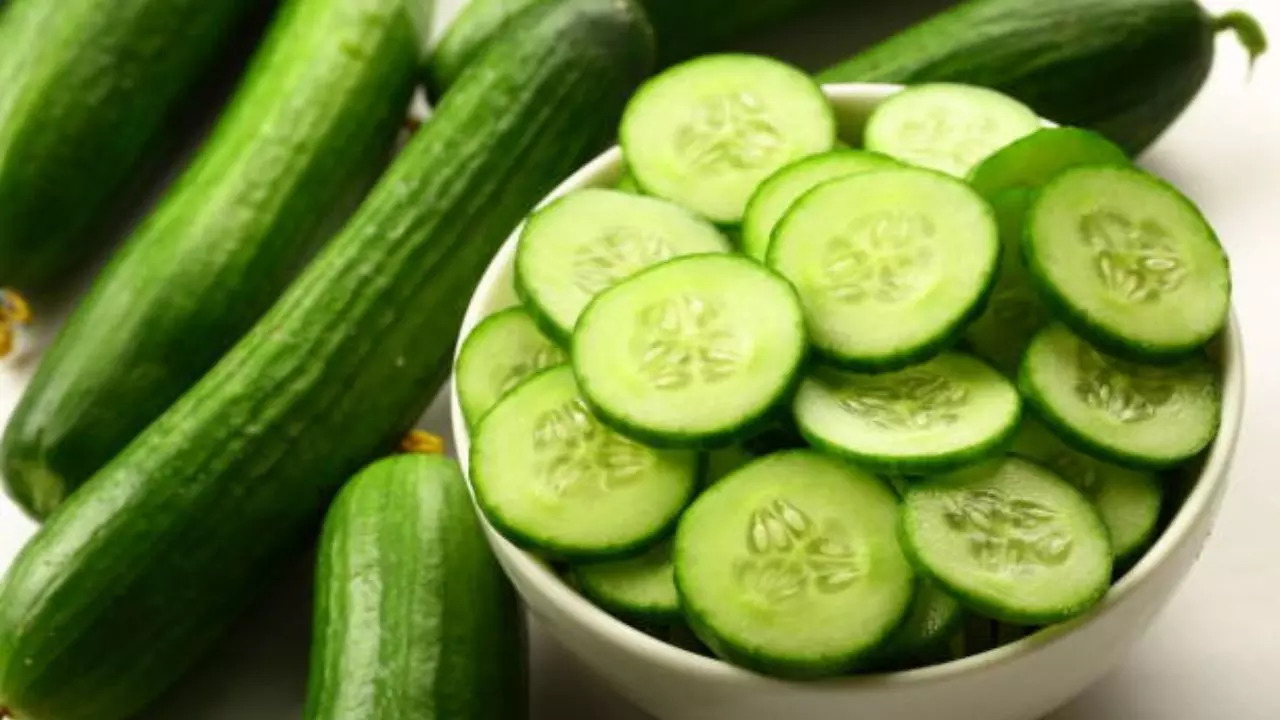Salmonella infected cucumbers