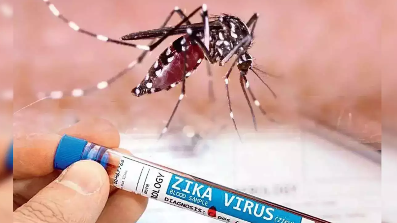 Zika Virus