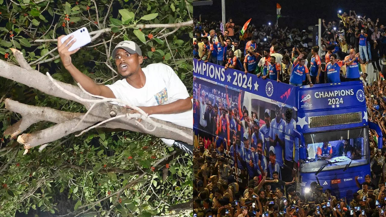 A fan climbs a tree to capture the Victory Parade at Marine Drive in Mumbai. | ESPNCricinfo via X