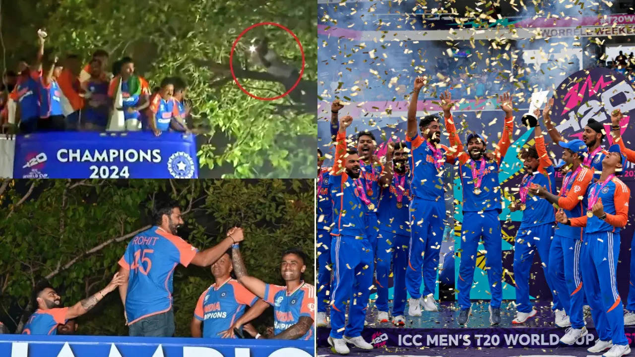 Rohit Sharma asks fan to come down from tree