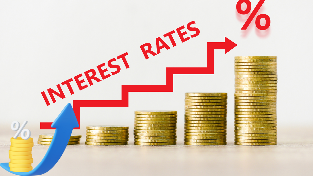 What Are the Latest GPF and Small Saving Interest Rates for July-September 2024? Here's a Look