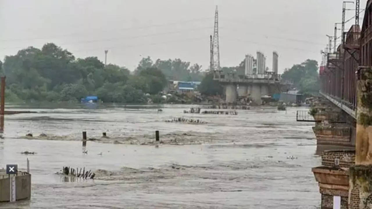 Representative Image: Rising Levels In Yamuna River