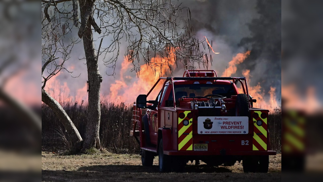 Wharton Forest Fire