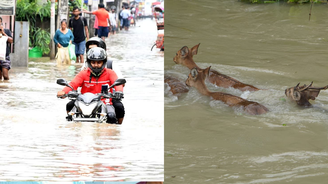 Assam floods