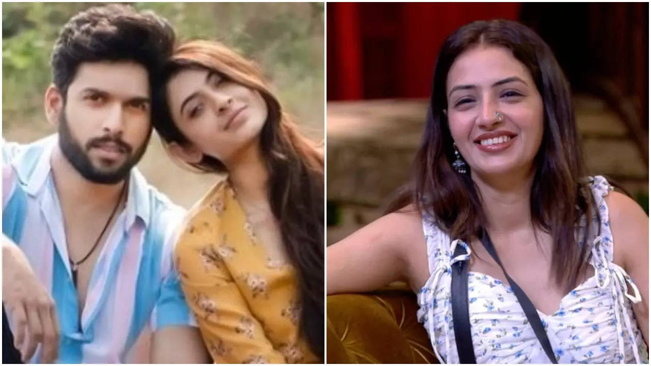 BB OTT 3: Sai Ketan Rao's Rumoured Girlfriend Shivangi Khedkar Defends Him After He Offers Massage To Chandrika