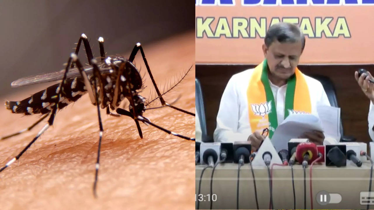 dengue fever in the state: boy dies in bangalore: medical emergency has to declare and free treatment should be given: mp dr. manjunath demands