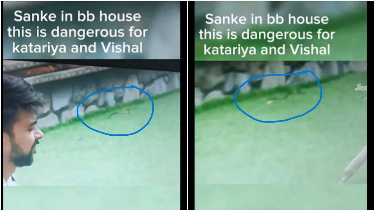 BB OTT 3 Fans Spot A Snake Roaming Near Lovekesh Kataria, Here's The Truth