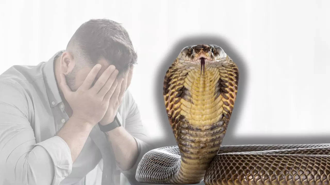 Snake Attack bite a man 6 times in a month in uttar pradesh