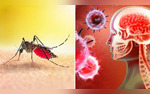 Dengue Can Cause Serious Neurological Complications Know All About It