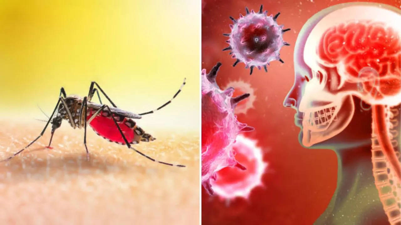 Neurological complications caused by dengue