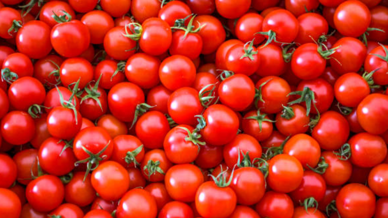 Tomato price in Delhi (Representational Image)