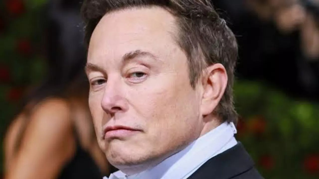 Journalist Slams Space X Launch For Destroying 9 Bird Nests; Elon Musk Reacts