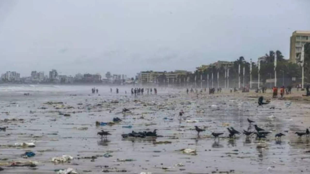 Representative Image: Garbage Collected At Juhu Beach