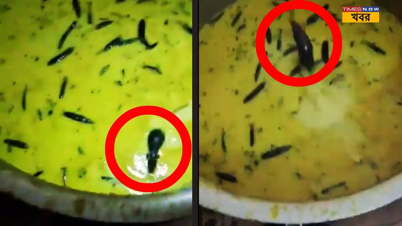 viral video of rat in chutney at hyderabad mess gets viral