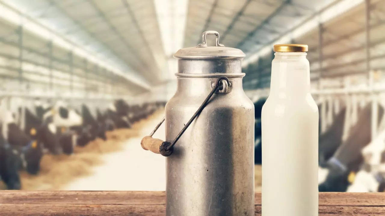 salmonella poisoning in us: dozens fall sick after drinking raw milk from a california farm