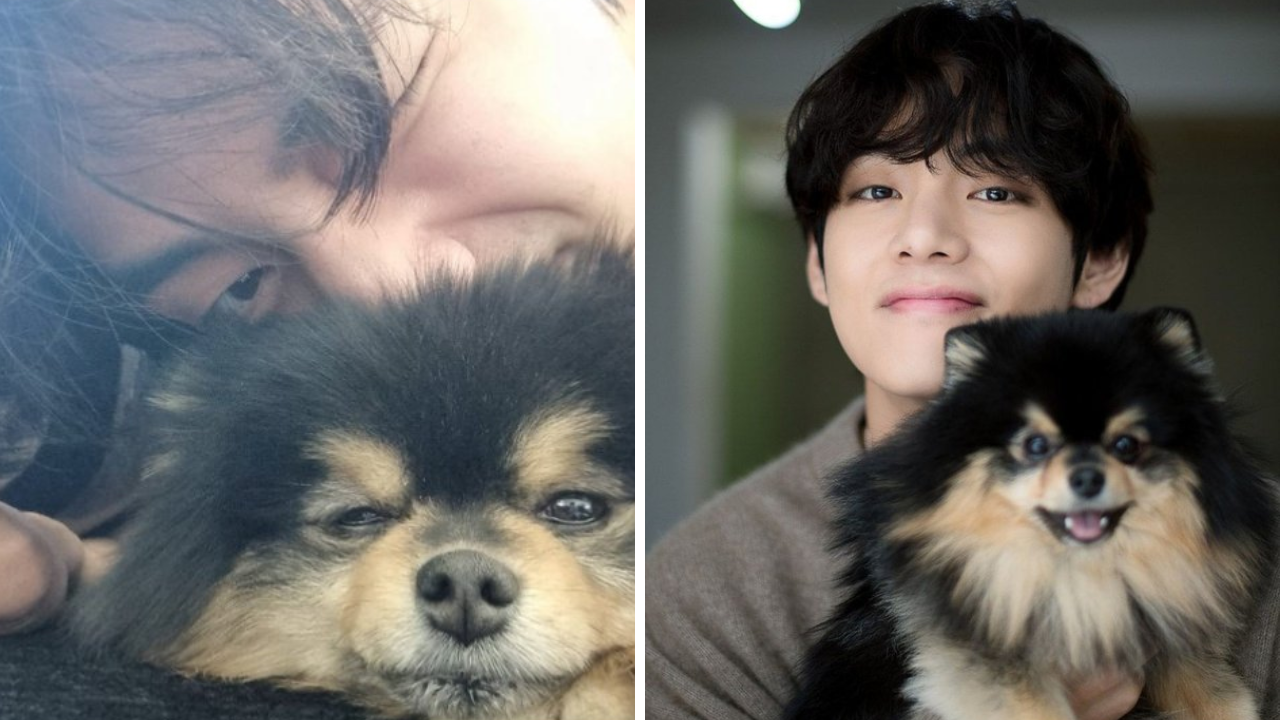 BTS' V Misses Yeontan During Military Service, Dedicates Special Song To His Pet Dog