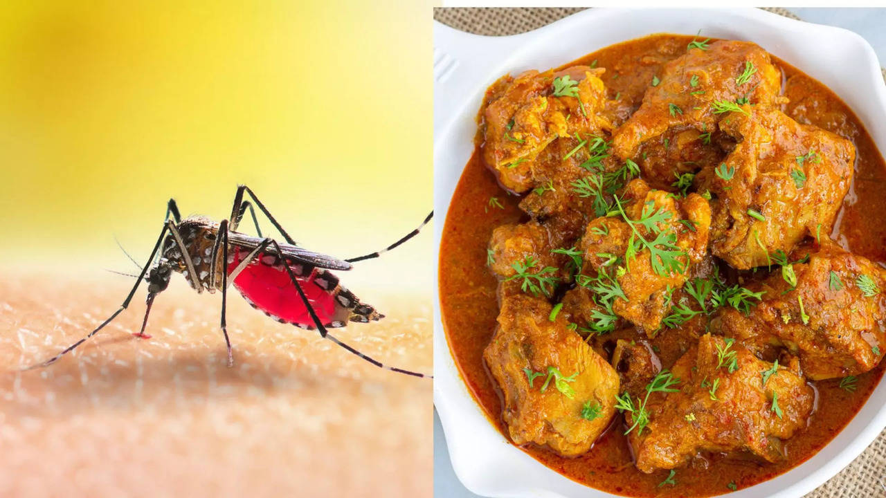 dengue cases in bengaluru, dont eat these food for fast recovery from dangerous fever