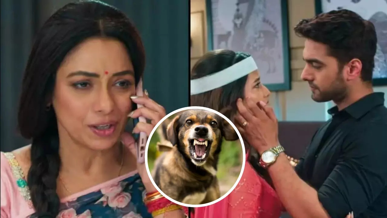 Dog Bites Yeh Rishta Kya Kehlata Hai Director Rishi Mandial On Rupali Ganguly’s Anupamaa Set - Exclusive