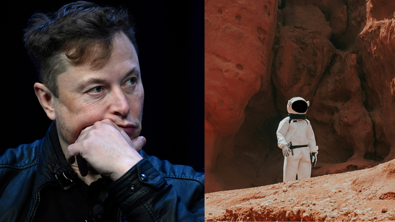 Elon Musk - Mars - AP