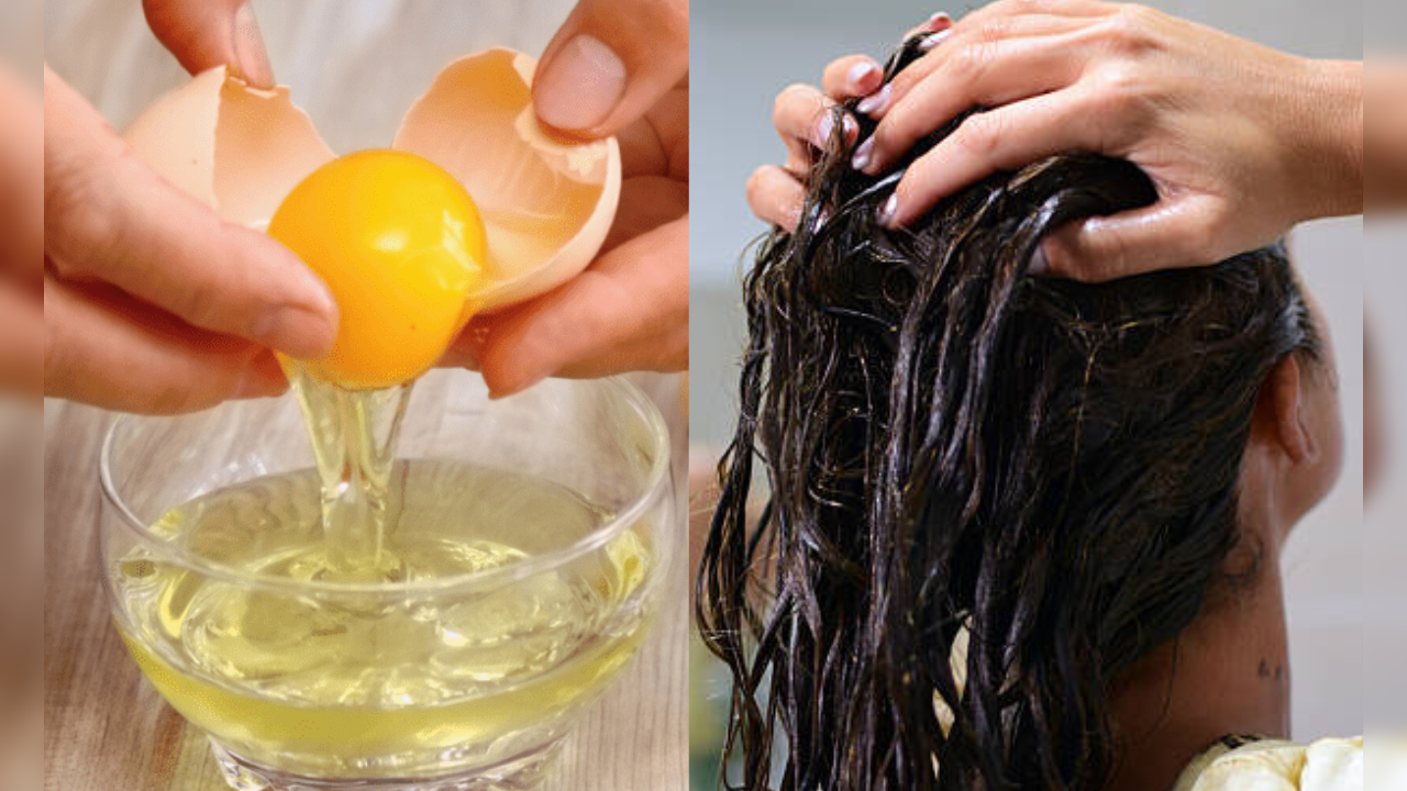 egg oil is beneficial for hair loss