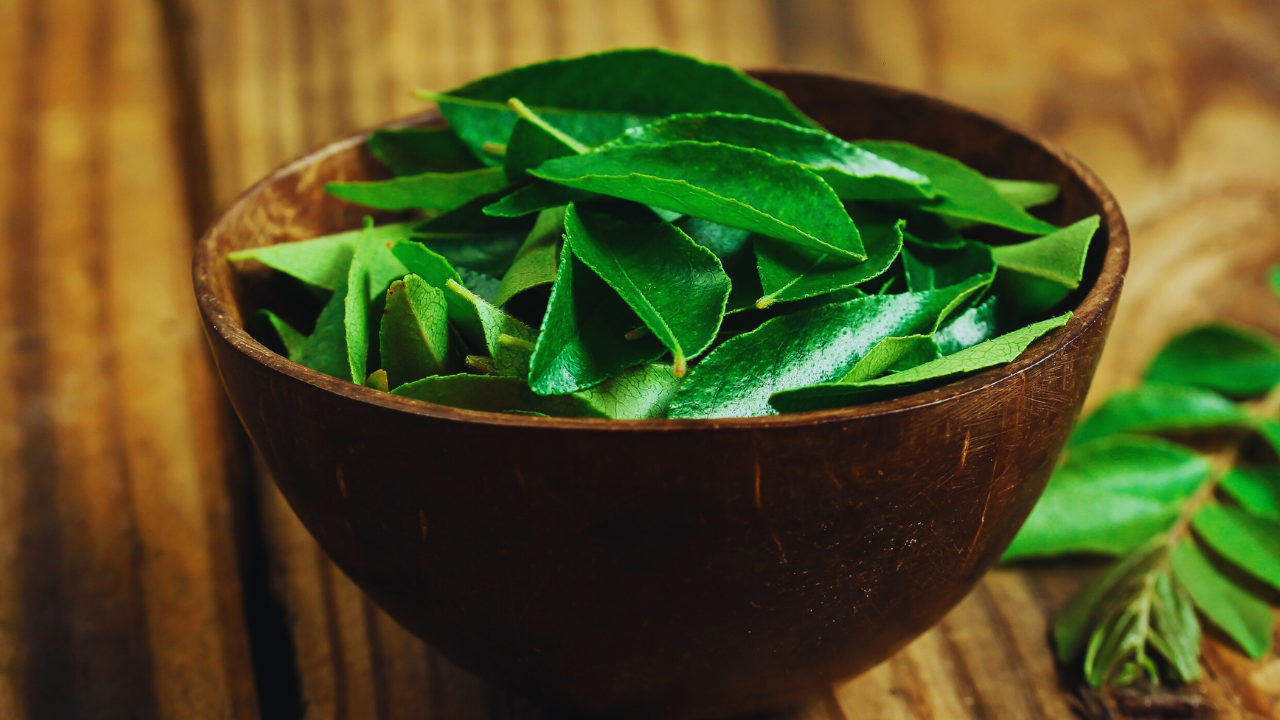 How to Grow Curry Leaves at Home